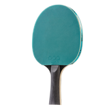 PERFORMANCE RATINGS – Speed: 75, Spin: 65, Control: 65_6