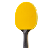 PERFORMANCE RATINGS – Speed: 75, Spin: 65, Control: 65_6