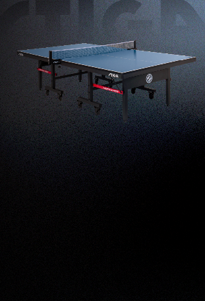 Pong pong discount table for sale